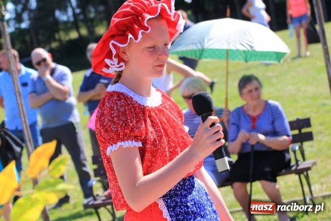 Zdjęcie w galerii na portalu naszraciborz.pl: Dzień Dziecka z klaunami w Rzuchowie wiadomości z regionu
