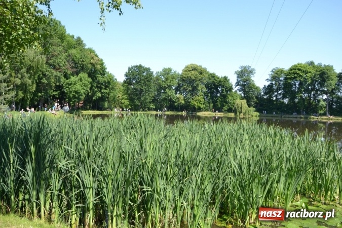 Zdjęcie w galerii na portalu naszraciborz.pl: Wędkarski Dzień Dziecka na Trzecioku wiadomości z regionu