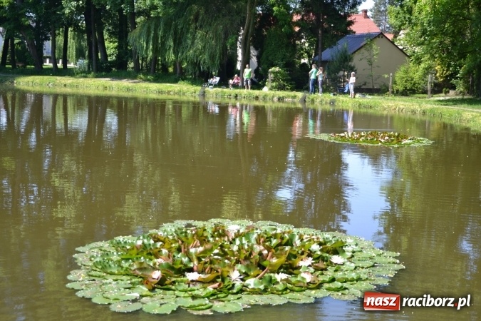 Zdjęcie w galerii na portalu naszraciborz.pl: Wędkarski Dzień Dziecka na Trzecioku wiadomości z regionu