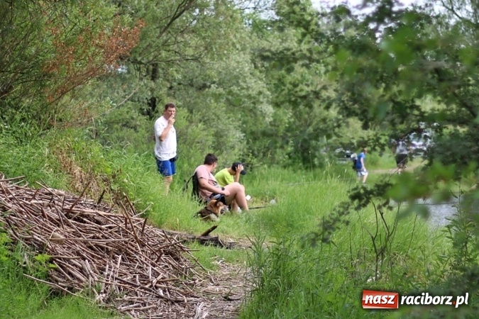 Zdjęcie w galerii na portalu naszraciborz.pl: Bezpieczny wypoczynek i zawody wędkarskie w Łęgu wiadomości z regionu