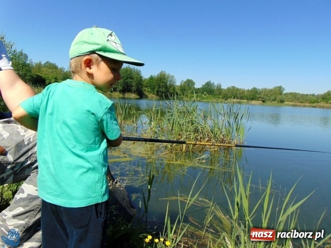Zdjęcie w galerii na portalu naszraciborz.pl: Wędkarski Dzień Dziecka Koła Racibórz Miasto  wiadomości z regionu