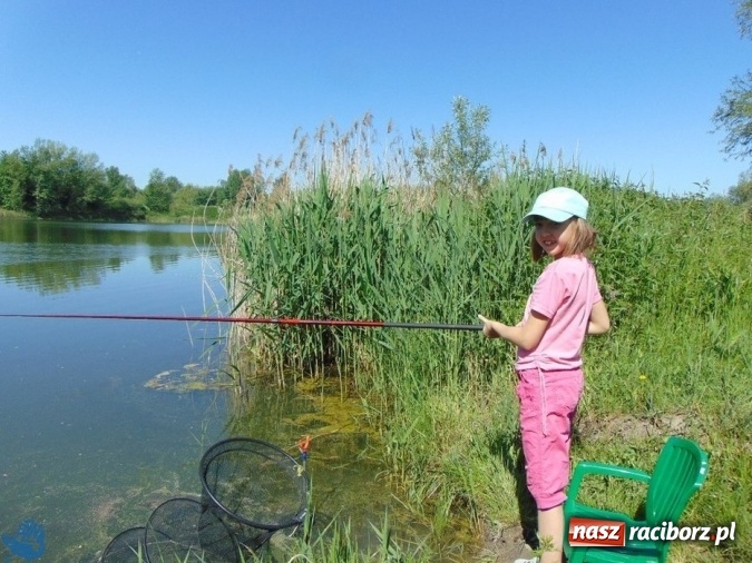 Zdjęcie w galerii na portalu naszraciborz.pl: Wędkarski Dzień Dziecka Koła Racibórz Miasto  wiadomości z regionu