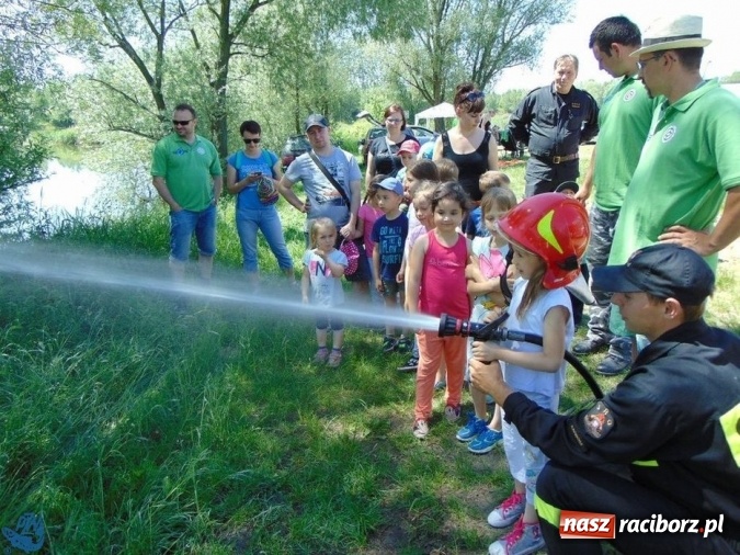 Zdjęcie w galerii na portalu naszraciborz.pl: Wędkarski Dzień Dziecka Koła Racibórz Miasto  wiadomości z regionu