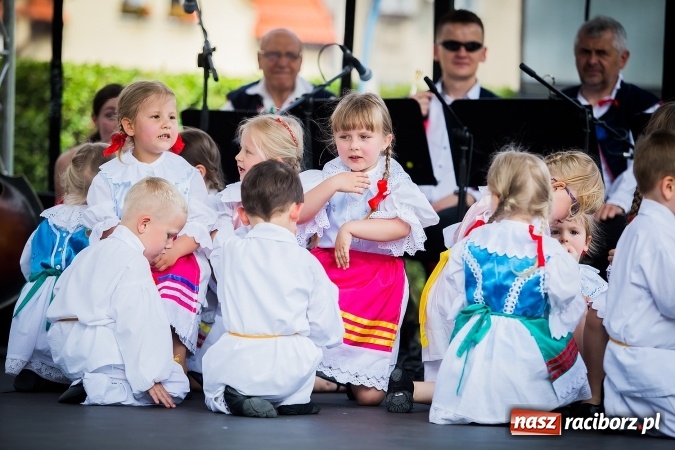 Zdjęcie w galerii na portalu naszraciborz.pl: Piknik rodzinny z Raciborskim Centrum Kultury wiadomości z regionu
