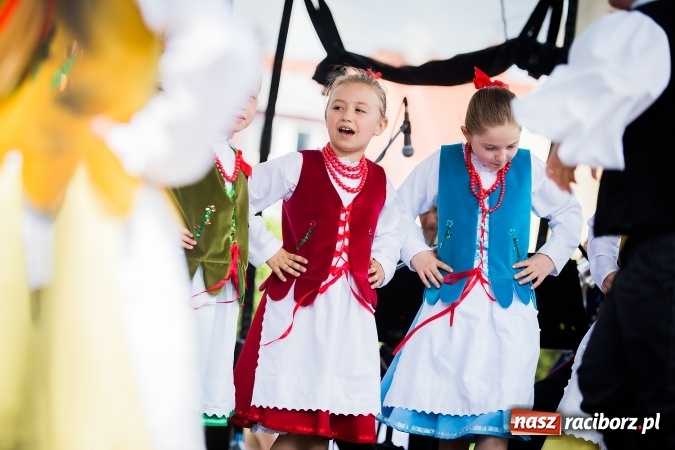 Zdjęcie w galerii na portalu naszraciborz.pl: Piknik rodzinny z Raciborskim Centrum Kultury wiadomości z regionu