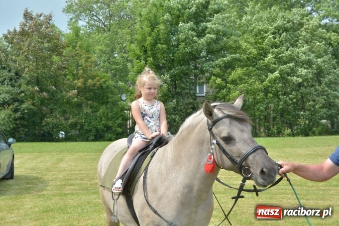Zdjęcie w galerii na portalu naszraciborz.pl: Familiada i inne atrakcje na festynie rodzinnym w Krzyżanowicach wiadomości z regionu