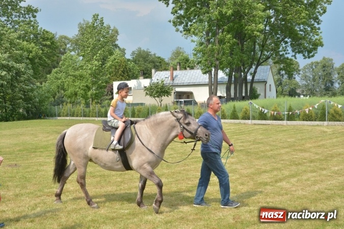 Zdjęcie w galerii na portalu naszraciborz.pl: Familiada i inne atrakcje na festynie rodzinnym w Krzyżanowicach wiadomości z regionu