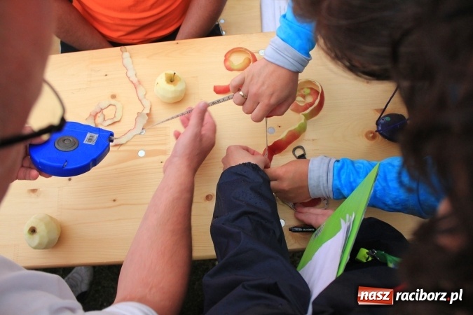 Zdjęcie w galerii na portalu naszraciborz.pl: Burzowy turniej sołectw w Łańcach. Zwyciężyła drużyna z Pogrzebienia!  wiadomości z regionu