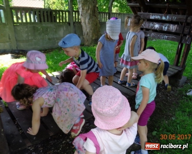 Zdjęcie w galerii na portalu naszraciborz.pl: Fiku-miku ma już wakacje wiadomości z regionu