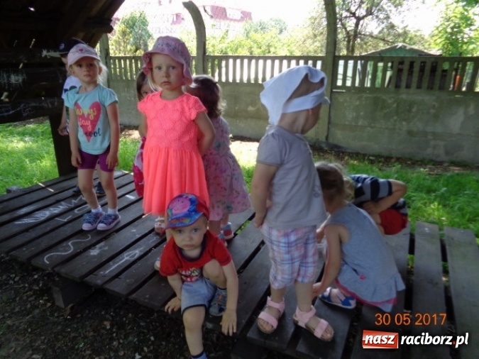 Zdjęcie w galerii na portalu naszraciborz.pl: Fiku-miku ma już wakacje wiadomości z regionu