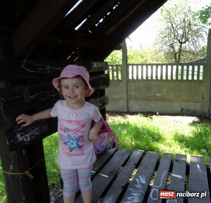 Zdjęcie w galerii na portalu naszraciborz.pl: Fiku-miku ma już wakacje wiadomości z regionu