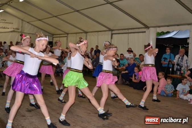 Zdjęcie w galerii na portalu naszraciborz.pl: Orkiestry dęte po raz piąty zagrały w Tworkowie  wiadomości z regionu