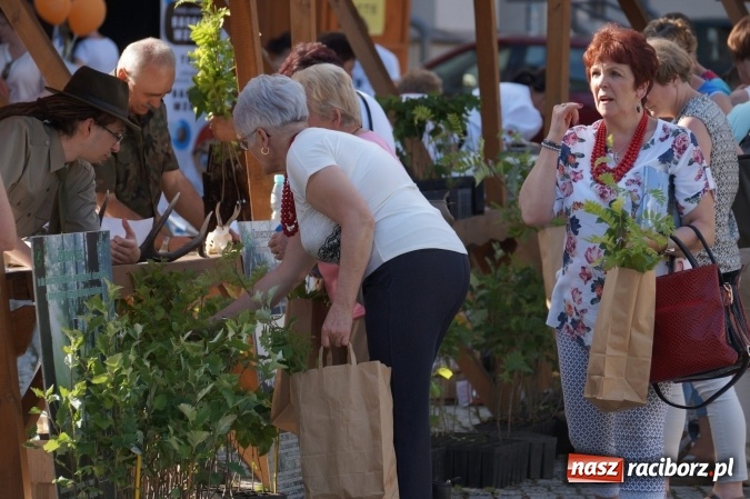 Zdjęcie w galerii na portalu naszraciborz.pl: Czym Nędza bogata! po raz czwarty na raciborskim zamku  wiadomości z regionu