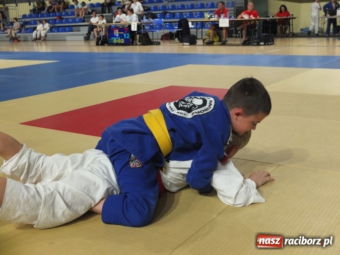 Zdjęcie w galerii na portalu naszraciborz.pl: Kolejne sukcesy zawodników Łamatora  wiadomości z regionu