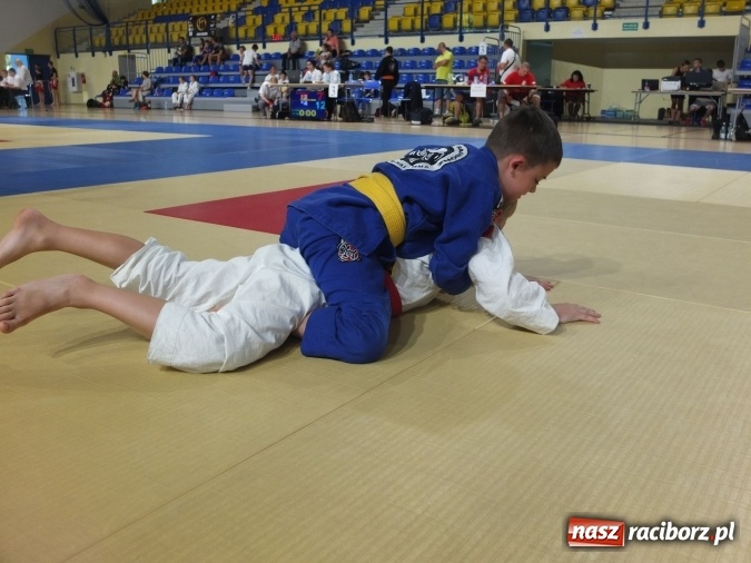 Zdjęcie w galerii na portalu naszraciborz.pl: Kolejne sukcesy zawodników Łamatora  wiadomości z regionu
