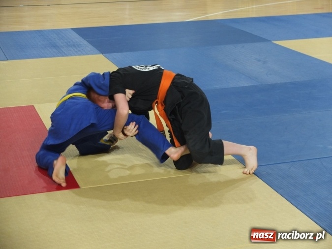 Zdjęcie w galerii na portalu naszraciborz.pl: Kolejne sukcesy zawodników Łamatora  wiadomości z regionu