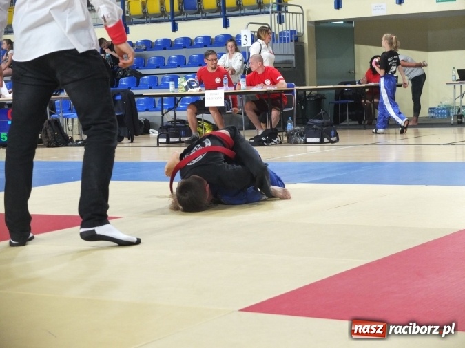 Zdjęcie w galerii na portalu naszraciborz.pl: Kolejne sukcesy zawodników Łamatora  wiadomości z regionu