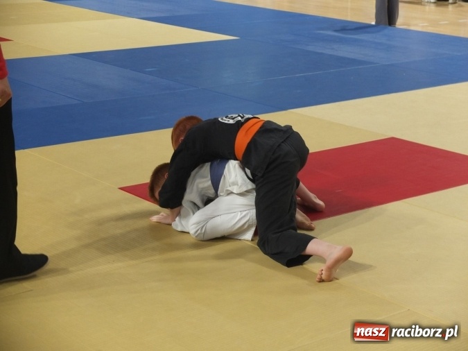 Zdjęcie w galerii na portalu naszraciborz.pl: Kolejne sukcesy zawodników Łamatora  wiadomości z regionu