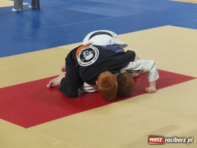 Zdjęcie w galerii na portalu naszraciborz.pl: Kolejne sukcesy zawodników Łamatora  wiadomości z regionu