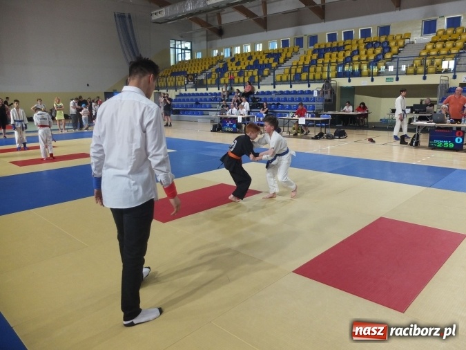 Zdjęcie w galerii na portalu naszraciborz.pl: Kolejne sukcesy zawodników Łamatora  wiadomości z regionu