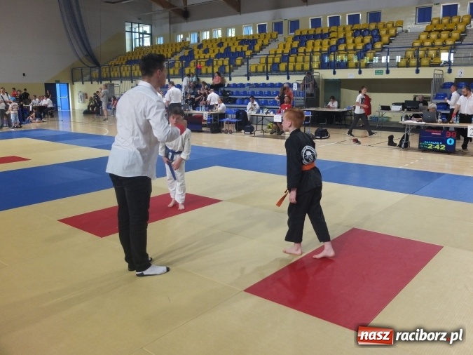 Zdjęcie w galerii na portalu naszraciborz.pl: Kolejne sukcesy zawodników Łamatora  wiadomości z regionu