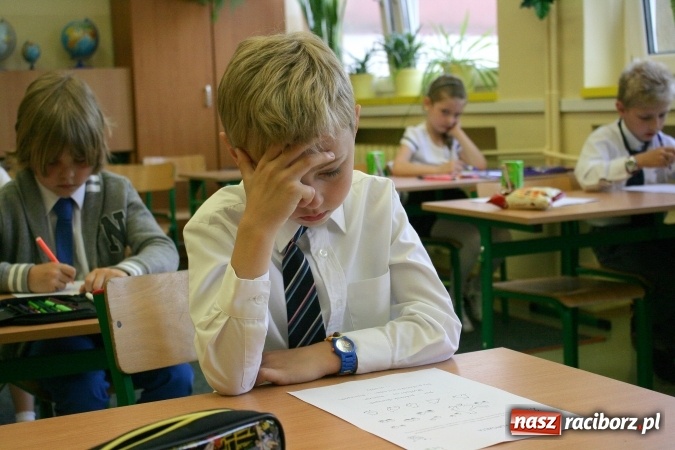 Zdjęcie w galerii na portalu naszraciborz.pl: Mistrz rozrywek umysłowych - dziewięć szkół rywalizowało w kolejnej edycji konkursu wiadomości z regionu