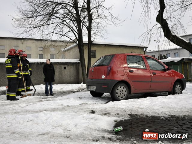 Zdjęcie w galerii na portalu naszraciborz.pl: Ranna kuna w centrum Raciborza wiadomości z regionu
