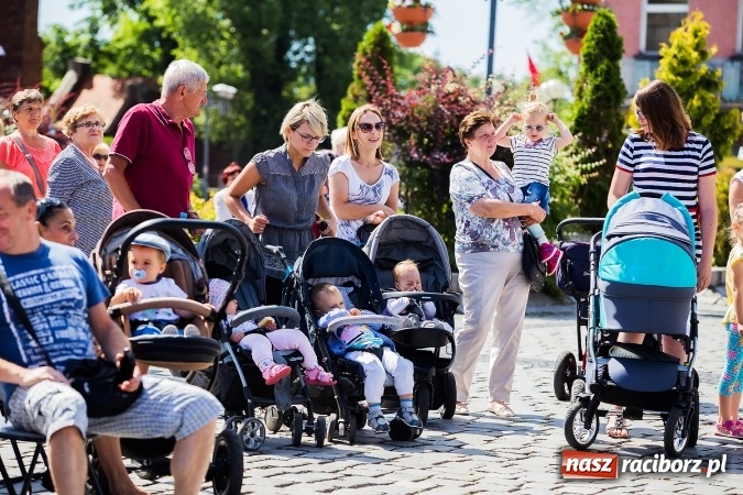Zdjęcie w galerii na portalu naszraciborz.pl: XVII edycja Festynu Ekologicznego na rynku wiadomości z regionu