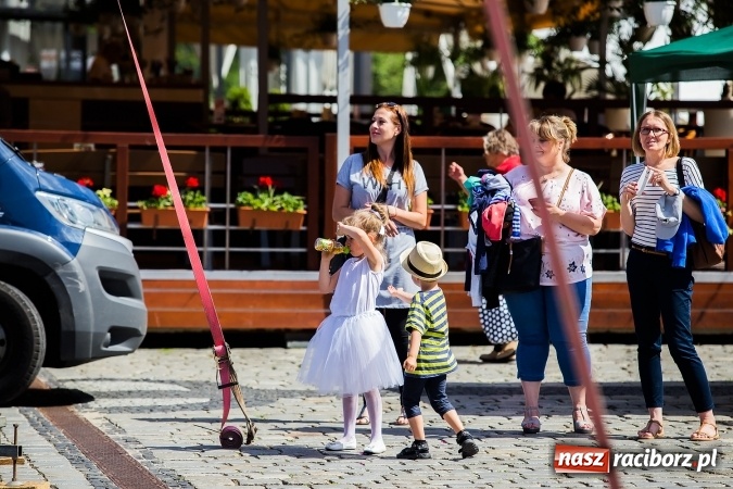 Zdjęcie w galerii na portalu naszraciborz.pl: XVII edycja Festynu Ekologicznego na rynku wiadomości z regionu