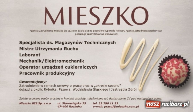 Zdjęcie w galerii na portalu naszraciborz.pl: Szukaj pracy skutecznie z naszą pomocą!  wiadomości z regionu