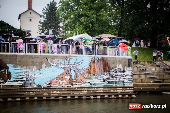 Zdjęcie w galerii na portalu naszraciborz.pl: Pływadła popłynęły już osiemnasty raz. Pierwszy raz przy tak fatalnej pogodzie wiadomości z regionu