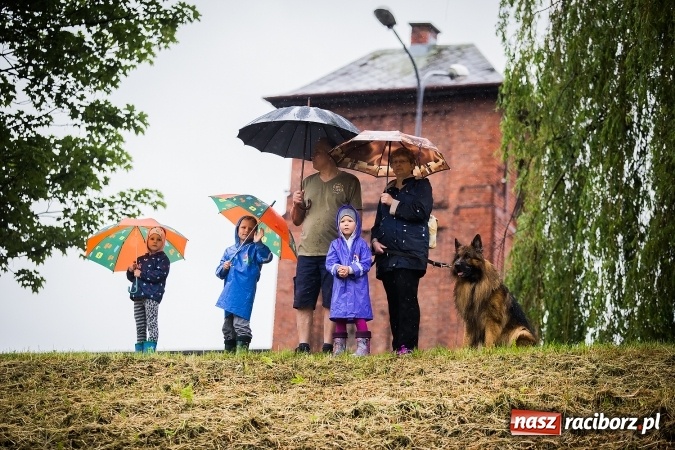 Zdjęcie w galerii na portalu naszraciborz.pl: Pływadła popłynęły już osiemnasty raz. Pierwszy raz przy tak fatalnej pogodzie wiadomości z regionu