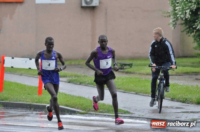 Zdjęcie w galerii na portalu naszraciborz.pl: Deszczowy XI Półmaraton w Kietrzu wiadomości z regionu