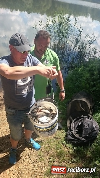 Zdjęcie w galerii na portalu naszraciborz.pl: Na Babiczoku rozegrano zawody wędkarskie wiadomości z regionu