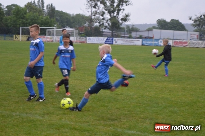 Zdjęcie w galerii na portalu naszraciborz.pl: Hattrick Głuchołazy zwycięzcą Turnieju dla Młodych Piłkarzy. Raciborska Unia trzecia wiadomości z regionu