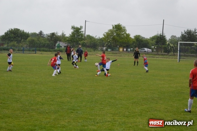 Zdjęcie w galerii na portalu naszraciborz.pl: Hattrick Głuchołazy zwycięzcą Turnieju dla Młodych Piłkarzy. Raciborska Unia trzecia wiadomości z regionu