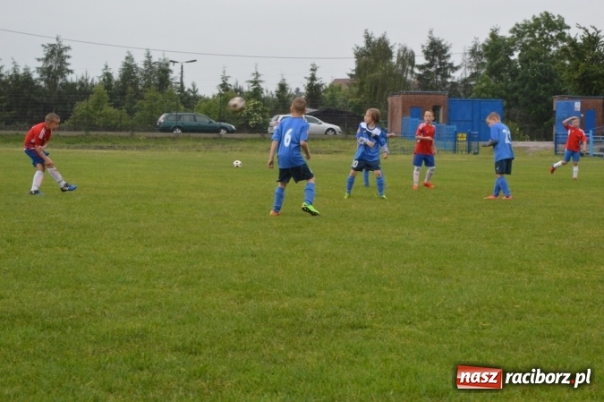 Zdjęcie w galerii na portalu naszraciborz.pl: Hattrick Głuchołazy zwycięzcą Turnieju dla Młodych Piłkarzy. Raciborska Unia trzecia wiadomości z regionu