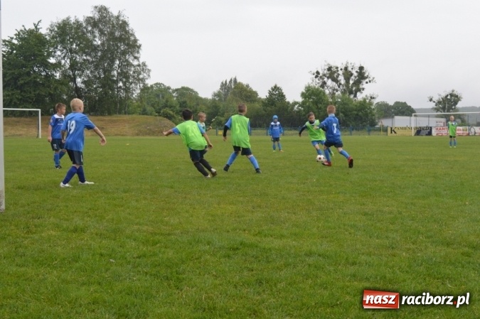 Zdjęcie w galerii na portalu naszraciborz.pl: Hattrick Głuchołazy zwycięzcą Turnieju dla Młodych Piłkarzy. Raciborska Unia trzecia wiadomości z regionu