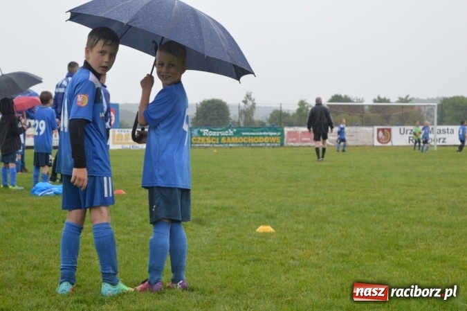 Zdjęcie w galerii na portalu naszraciborz.pl: Hattrick Głuchołazy zwycięzcą Turnieju dla Młodych Piłkarzy. Raciborska Unia trzecia wiadomości z regionu