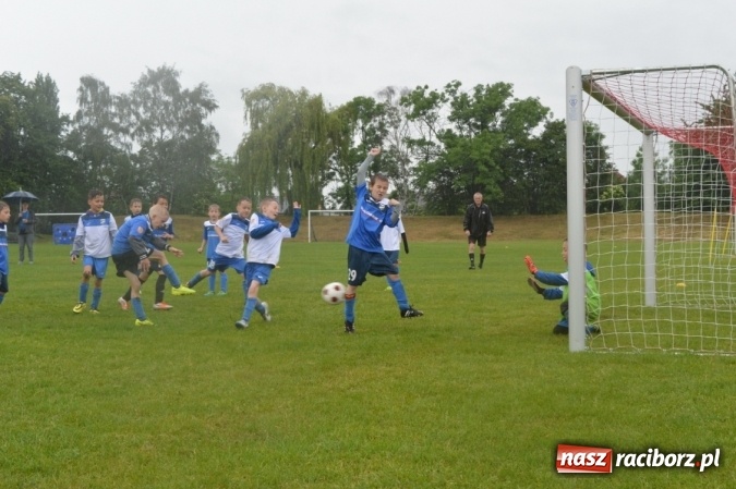 Zdjęcie w galerii na portalu naszraciborz.pl: Hattrick Głuchołazy zwycięzcą Turnieju dla Młodych Piłkarzy. Raciborska Unia trzecia wiadomości z regionu