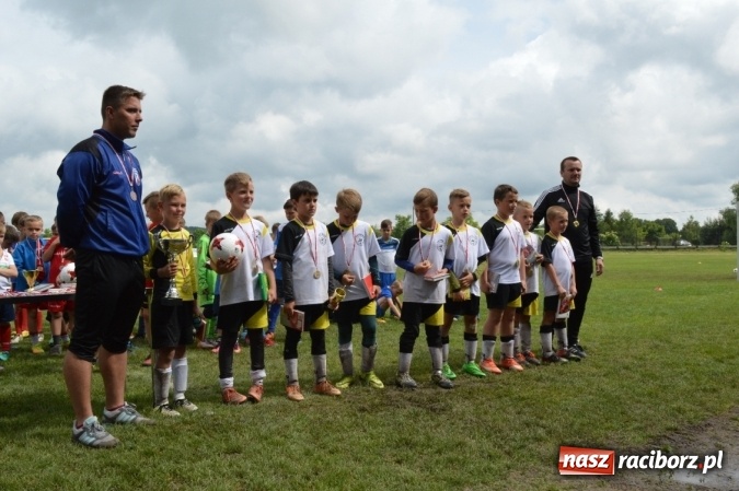 Zdjęcie w galerii na portalu naszraciborz.pl: Hattrick Głuchołazy zwycięzcą Turnieju dla Młodych Piłkarzy. Raciborska Unia trzecia wiadomości z regionu