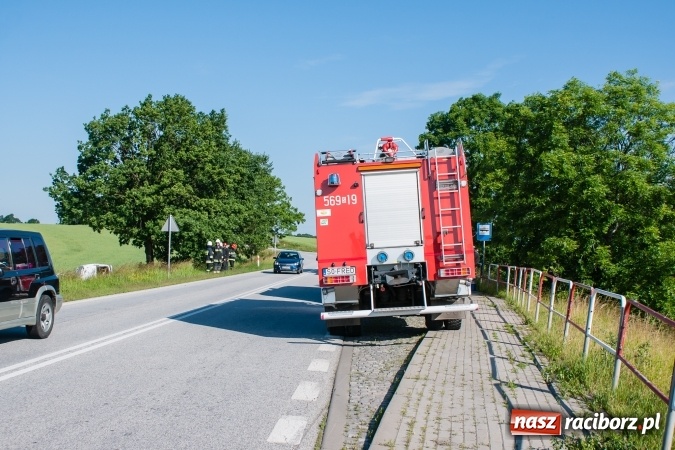 Zdjęcie w galerii na portalu naszraciborz.pl: Na DK 45 mercedes sprinter wypadł z drogi wiadomości z regionu