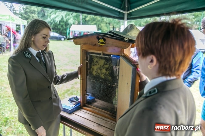 Zdjęcie w galerii na portalu naszraciborz.pl: WFOŚiGW w Katowicach po raz kolejny nagrodził EkoAktywnych wiadomości z regionu