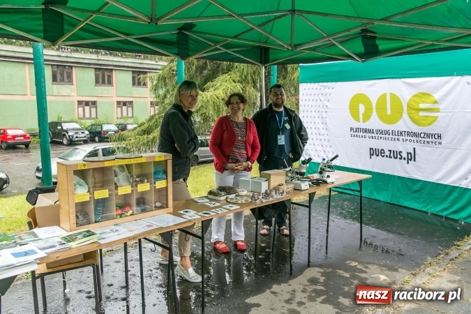 Zdjęcie w galerii na portalu naszraciborz.pl: WFOŚiGW w Katowicach po raz kolejny nagrodził EkoAktywnych wiadomości z regionu