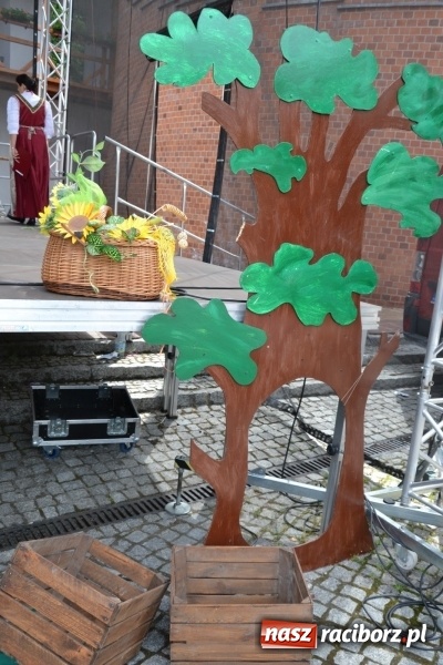 Zdjęcie w galerii na portalu naszraciborz.pl: XV Jubileuszowa Biesiada Śląska Szkół Specjalnych Bajtel Gala za nami  wiadomości z regionu