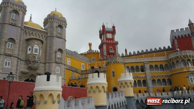 Zdjęcie w galerii na portalu naszraciborz.pl: Technicy budownictwa i architektury krajobrazu organizatorami Dnia Polskiego w Lizbonie wiadomości z regionu