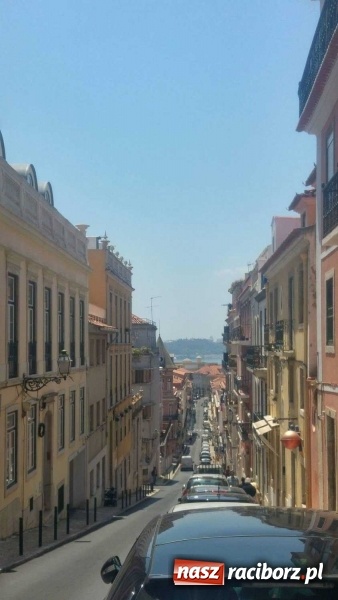 Zdjęcie w galerii na portalu naszraciborz.pl: Technicy budownictwa i architektury krajobrazu organizatorami Dnia Polskiego w Lizbonie wiadomości z regionu