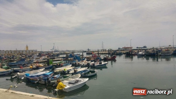 Zdjęcie w galerii na portalu naszraciborz.pl: Technicy budownictwa i architektury krajobrazu organizatorami Dnia Polskiego w Lizbonie wiadomości z regionu