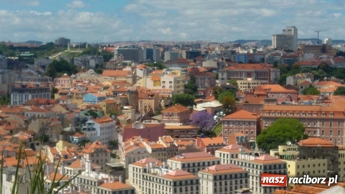 Zdjęcie w galerii na portalu naszraciborz.pl: Technicy budownictwa i architektury krajobrazu organizatorami Dnia Polskiego w Lizbonie wiadomości z regionu