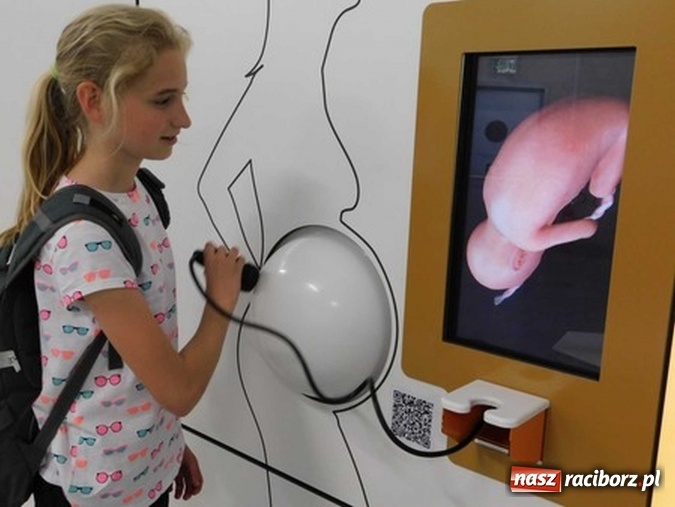 Zdjęcie w galerii na portalu naszraciborz.pl: Odkrywcy z SP 1 w świecie wynalazków wiadomości z regionu